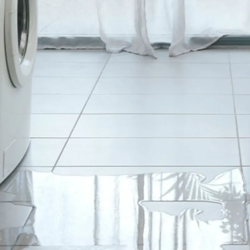 Appliance Leak Cleanup in Colorado County, TX