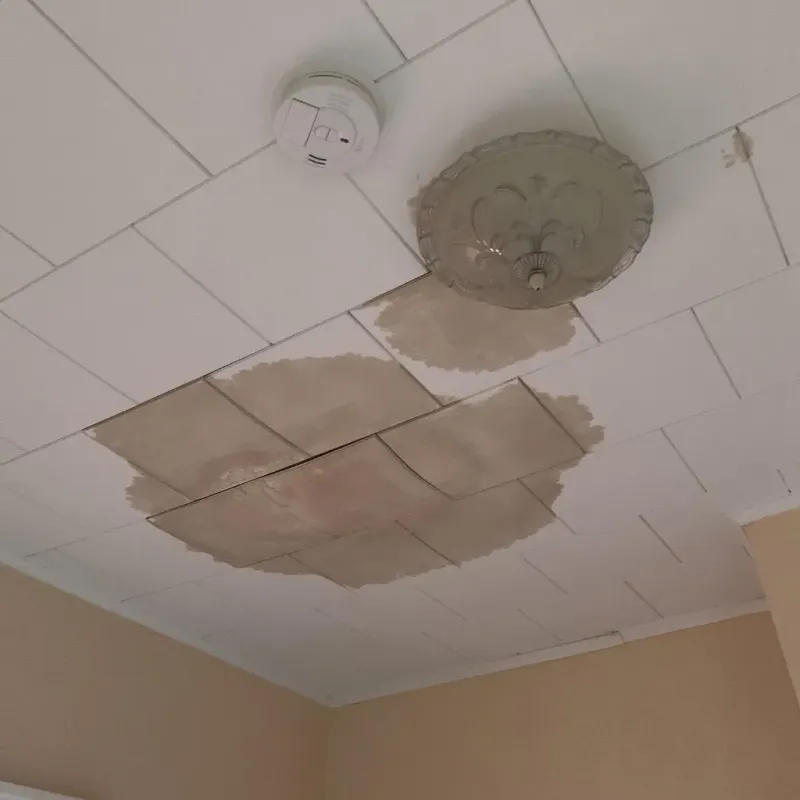 Ceiling Water Damage Repair in Colorado County, TX