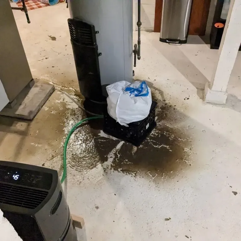 Sewage Backup Cleanup Service in Colorado County, TX